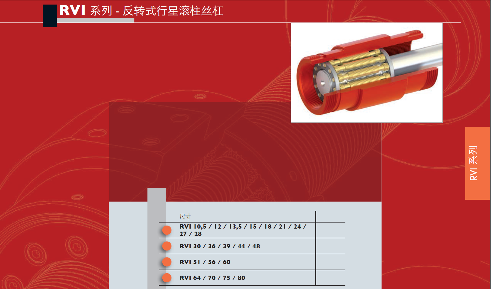 4.2级 RVI型丝杠2.png
